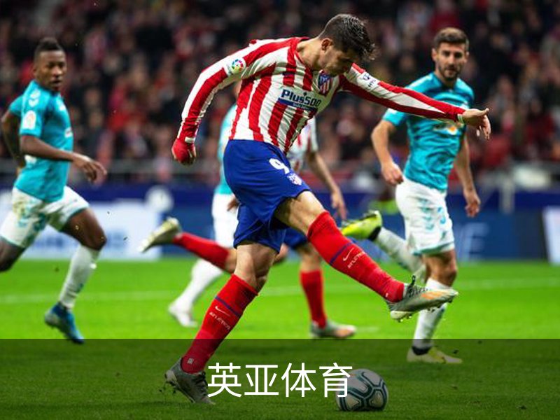 关于英亚体育